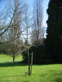 Greenwich Meridian Marker; England; West Sussex; East Grinstead